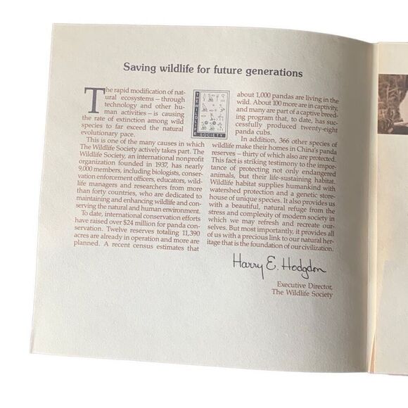 VINTAGE W S George Fine China A Mother’s Care Collector Plate by Joyce Bridges W - Picture 11 of 12